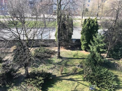 Aed väljaspool majutusasutust Apartament Gosia