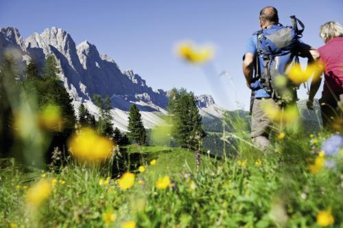 two people walking in a field of flowers at Gasthof Teiser Stern in Funes