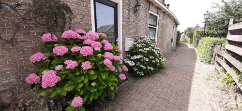 Vonkajšia záhrada v ubytovaní Appartement Torenzicht - Leeuwarden