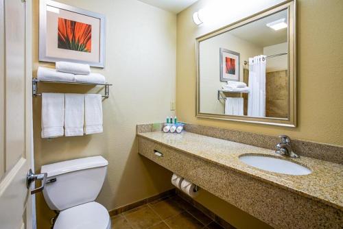 bagno con servizi igienici, lavandino e specchio di Holiday Inn Express & Suites Indianapolis North - Carmel, an IHG Hotel a Carmel