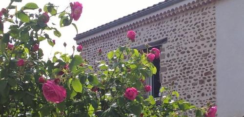 un cespuglio con fiori rosa di fronte a un edificio di Ô Joly Valois a Hauterives