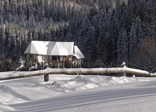 L'établissement Садиба "Градний Узвіз" en hiver