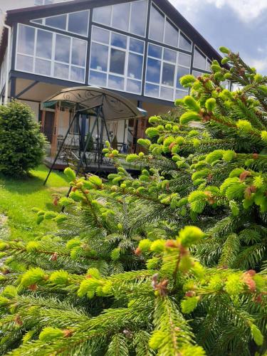 Uma casa com um monte de árvores de Natal à frente. em Guest House U Sester em Skhidnitsa