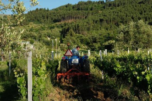 Hosté ubytování Quinta de Vodra