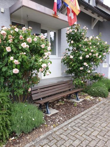 een bank voor een huis met rozen bij Pension Boitz in Rust