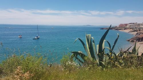 due barche in un grande bacino d'acqua con spiaggia di La Perle Marine, Cosy et rénové, 200 m de la plage, 1 chambre, parking et Wifi a Sète