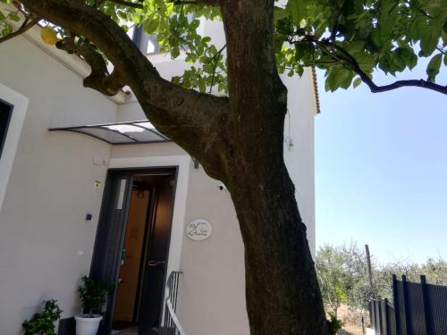 a tree in front of a white house with a door at B&B Guest Armonie in Torre del Greco