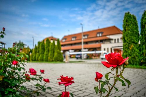 Un jardín fuera de Hotel Rózsa Csárda