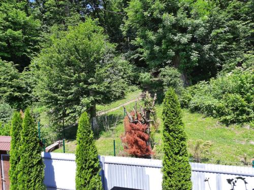 un giardino con alberi e una recinzione bianca di Комфортный a Karpaty