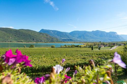 a field of flowers with a lake in the background at Weinhof am See in Caldaro