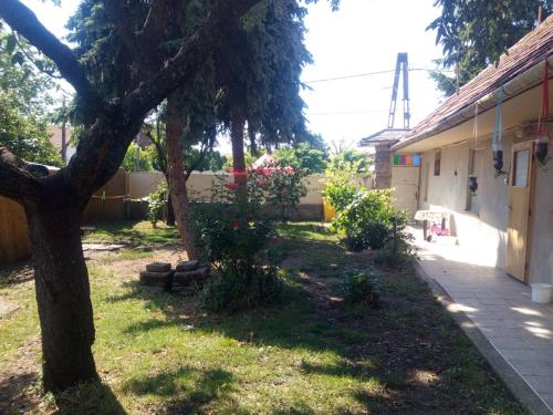 un patio con un árbol al lado de un edificio en Gyöngyösi Kertes Ház, en Gyöngyös