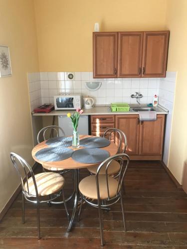 a kitchen with a table and chairs in a kitchen at Apartman u Karla in Veľký Meder