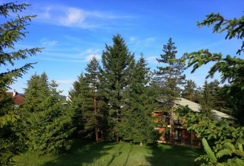 Un jardín fuera de Hotel President garni