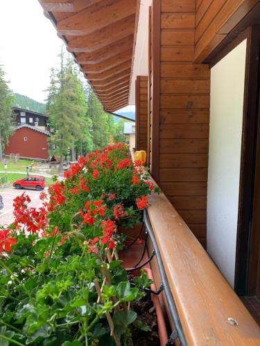 un balcón con flores rojas en un edificio en Hotel Capriolo, en Madesimo