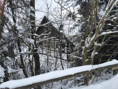 Ferienhaus Sauerlandtraum om vinteren