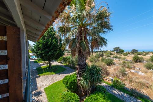 a palm tree in a yard next to a house at Kastro Maini in Areopolis