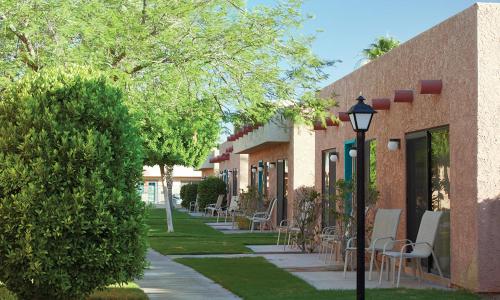 Κήπος έξω από το GetAways at Havasu Dunes Resort