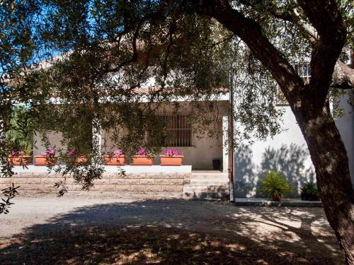 ein Gebäude mit Topfpflanzen und einem Baum in der Unterkunft Villa Hermosa in Alghero