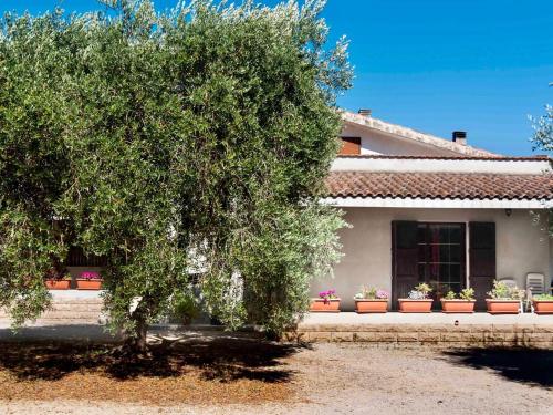 ein Baum vor einem Haus mit Topfpflanzen in der Unterkunft Villa Hermosa in Alghero