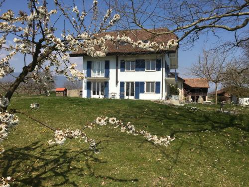 ein weißes Haus mit einem Baum davor in der Unterkunft B&B Domaine En Trembley in Commugny