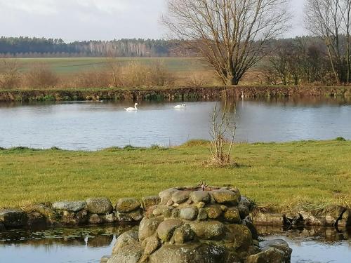 Un paisaje natural cerca of the bed and breakfast