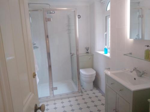 een badkamer met een douche, een toilet en een wastafel bij Chine Side in Shanklin