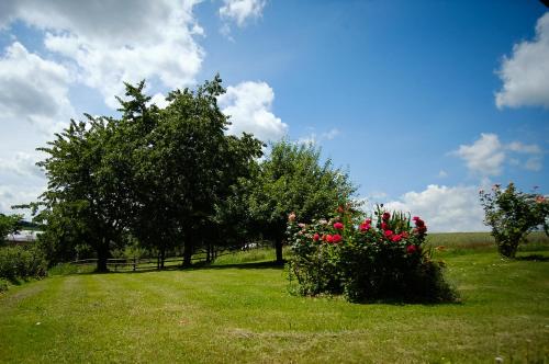 Jardí fora de Gaestehaus Hofer