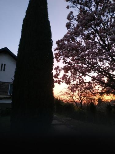 El amanecer o atardecer visto desde el departamento