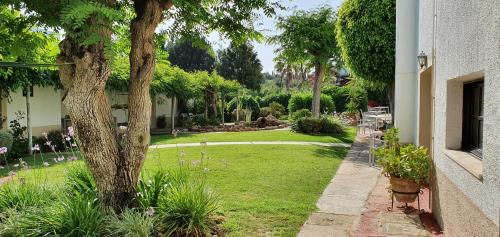 einen Garten mit einem Baum neben einem Gebäude in der Unterkunft Casa do Alto in Vilamoura