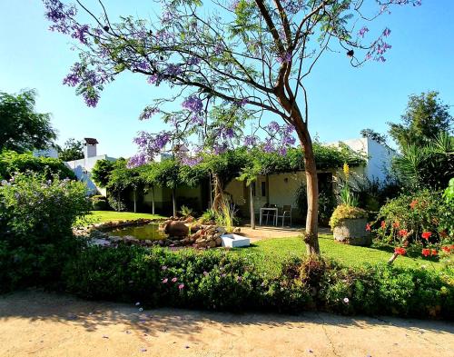 ein Haus mit einem Baum im Hof in der Unterkunft Casa do Alto in Vilamoura