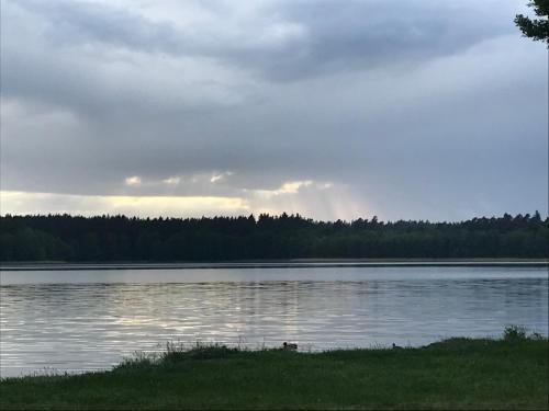 een uitzicht op een groot meer met bomen op de achtergrond bij Pokoje i domki nad Kanałem Bystrym in Augustów