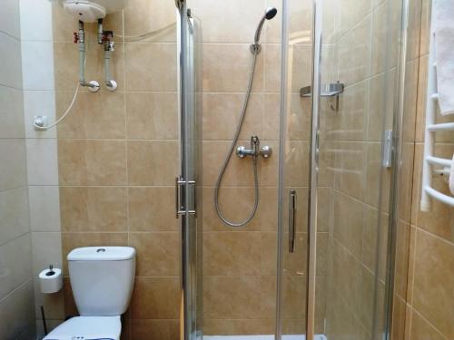 een badkamer met een douche en een toilet bij Hotel Business Apartments in Dnipro