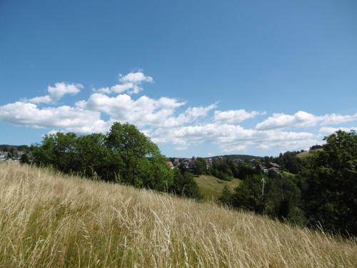 Naturlandskap nära lägenheten