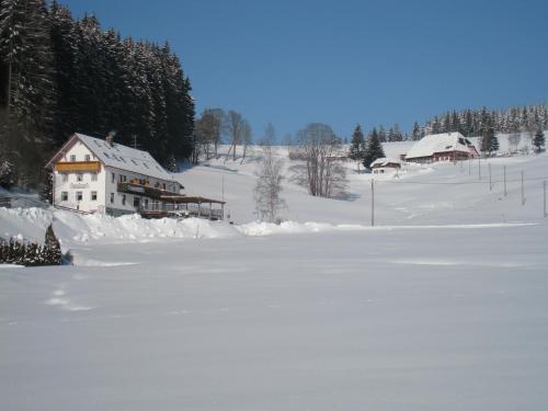 Gasthaus Pension Donishäusle að vetri til