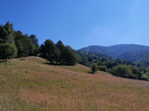 Pokrajina v okolici B&B-ja