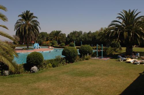 una piscina en un parque con palmeras en Elxadai Parque, en Elvas