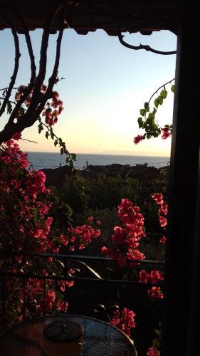 una ventana con vistas al océano y flores rosas en iliolithos rooms, en Kardhamili