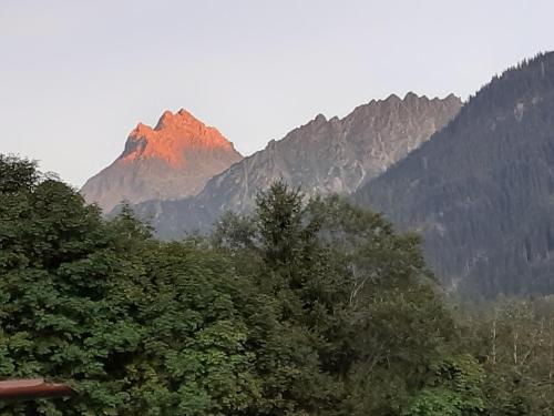 una montagna in mezzo a una foresta di alberi di Gästehaus Sahler a Gaschurn