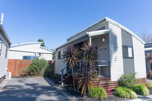 a small white house with a palm tree in front of it at Shoal Bay Holiday Park in Shoal Bay