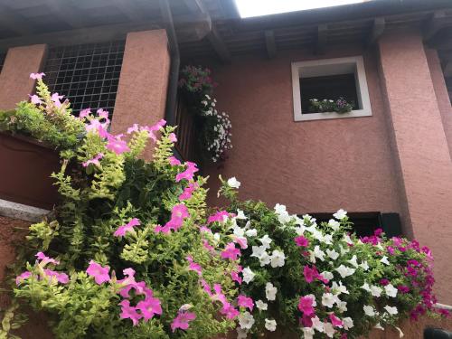 ein Fenster mit einem Haufen Blumen auf einem Gebäude in der Unterkunft Casa del Balcone Fiorito in Cormòns