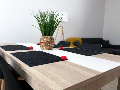 een vergadertafel met rode ballen en een plant erop bij Grand appartement fonctionnel proche centre-ville in Saumur