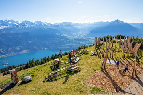 - une aire de jeux sur une colline avec vue sur les montagnes dans l'établissement Berghaus Niederhorn, à Beatenberg