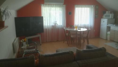 Kuchyň nebo kuchyňský kout v ubytování Apartmán Danka