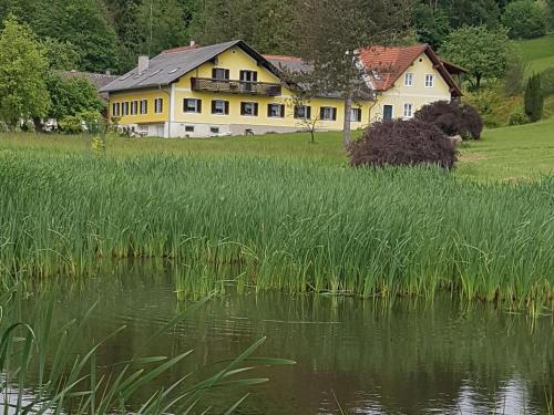 ein großes gelbes Haus neben einem Grasfeld in der Unterkunft Frühstückspension Krump in Bad Waltersdorf