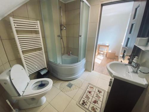 a bathroom with a toilet and a shower and a sink at Pensiunea Casa Domniței Sucevița in Suceviţa