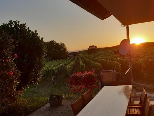 un tavolo con vista su un vigneto al tramonto di Winzerhof Henkenberg a Niederrotweil