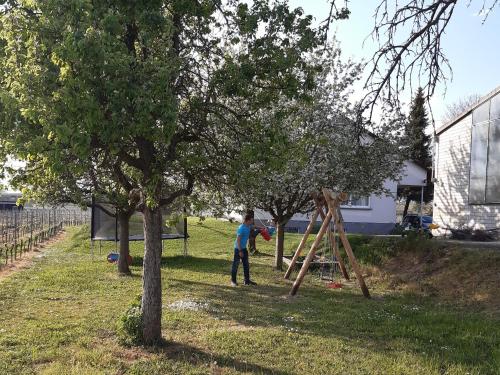 Un ragazzo che gioca in un parco con un albero di Winzerhof Henkenberg a Niederrotweil