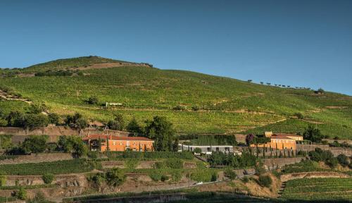 een huis op een heuvel naast een berg bij Quinta do Vallado - Douro Wine Hotel in Peso da Régua