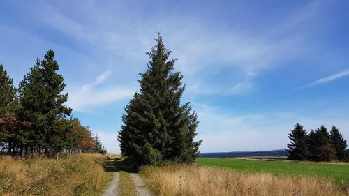 Un paisaje natural cerca de la casa de huéspedes