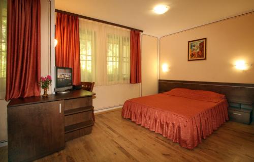 - une chambre avec un lit et une télévision dans l'établissement Hotel Alafrangite, à Plovdiv